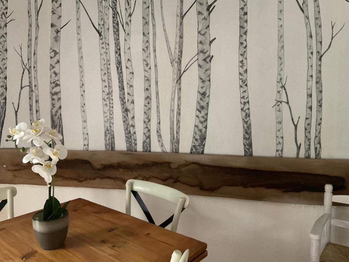 Apartament Montez Au Creneau, Face A La Cite Vue Sublime Carcassonne Zewnętrze zdjęcie